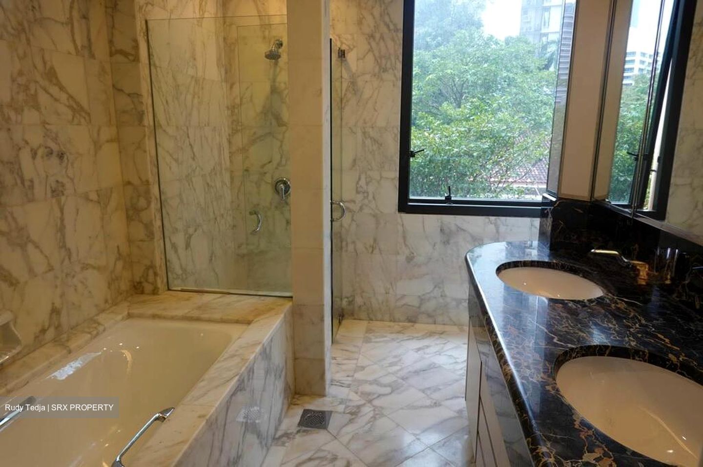 Four Seasons Park (D10), Condominium #454609911